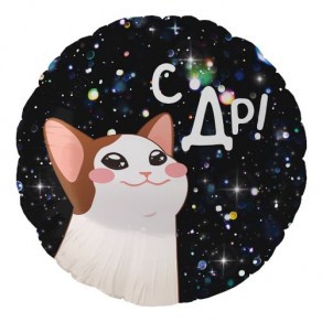 Воздушные шары Круг "С ДР!" (Котик Космос)