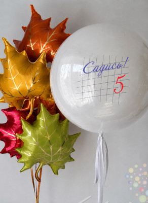 Воздушные шары Сет "Садись! 5"