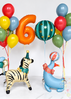 Воздушные шары Шатёр чудес (Средний сет №6)