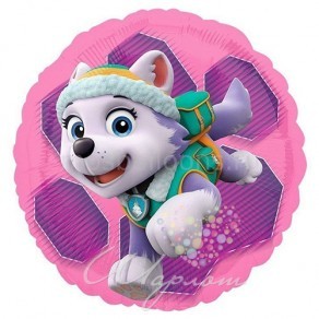 Воздушные шары Круг двусторонний "Щенячий Патруль Скай и Эверест"